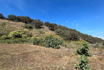 Lote de Terreno en  Los Robles, Zapopan, Zapopan, Jalisco