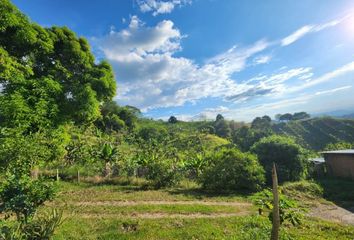 Villa-Quinta en  Buenavista, Quindío