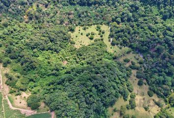 Lote de Terreno en  Centenario, Coatepec, Coatepec, Veracruz