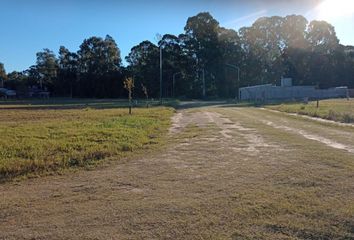 Terrenos en  General Pico, La Pampa