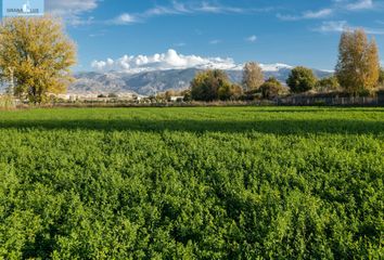 Terreno en  Granada, Granada Provincia