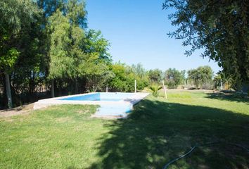 Quinta/Finca en  San Martín, Mendoza