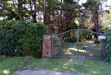 Casa en  Benavidez, Partido De Tigre