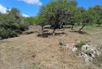 Terrenos en  Villa Carlos Paz, Córdoba