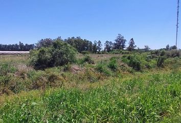 Terrenos en  Santa Lucía, Corrientes