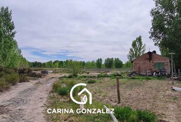 Casa en  San Patricio Del Chañar, Neuquen