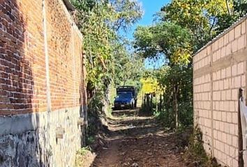 Lote de Terreno en  Calle Abasolo, San Pedro, Zacualpan De Amilpas, Morelos, 62890, Mex