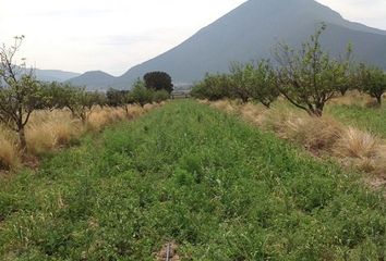 Rancho en  Arteaga, Arteaga, Arteaga, Coahuila