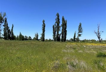 Parcela en  San Carlos, Ñuble (región)