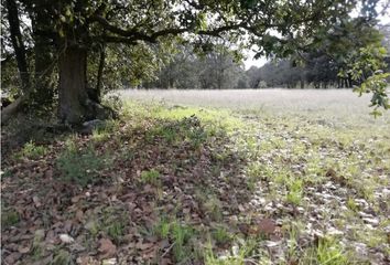 Lote de Terreno en  San Miguel De La Victoria, Jilotepec