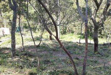 Terreno en  Maçanet De La Selva, Girona Provincia