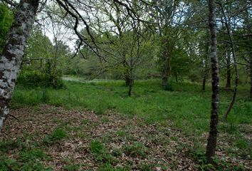 Terreno en  Sarreaus, Orense Provincia