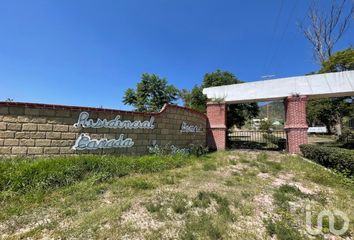 Lote de Terreno en  Calle A La Cruz, Cañada De Negros, Purísima Del Rincón, Guanajuato, 36420, Mex