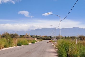 Terrenos en  Luján De Cuyo, Mendoza