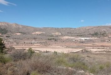 Terreno en  La Romana, Alicante Provincia