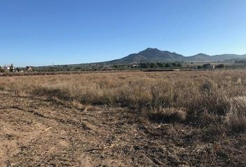 Terreno en  Salinas, Alicante Provincia