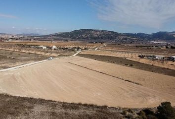 Terreno en  Pinoso, Alicante Provincia