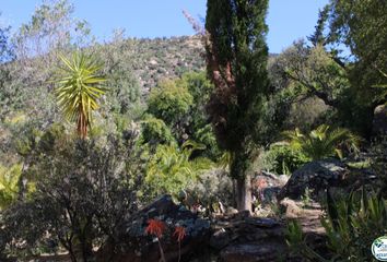 Terreno en  Palau-saverdera, Girona Provincia