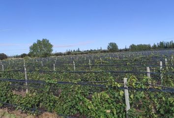 Terrenos en  San Rafael, Mendoza