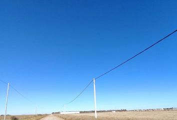 Terrenos en  Coronel Dorrego, Partido De Coronel Dorrego