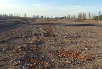 Terrenos en  Luján De Cuyo, Mendoza