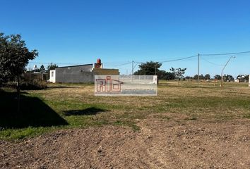 Terrenos en  Colonia San José, Santa Fe Provincia