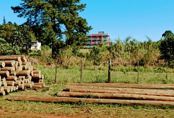 Terrenos en  Aristóbulo Del Valle, Misiones