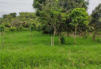 Lote de Terreno en  La Palmilla, Pereira