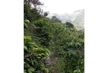 Villa-Quinta en  Ansermanuevo, Valle Del Cauca