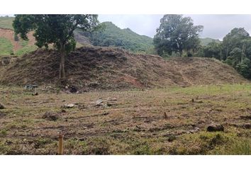 Lote de Terreno en  Santa Helena, Ibague