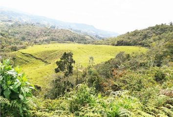 Lote de Terreno en  Ituango, Antioquia