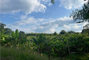 Villa-Quinta en  Montenegro, Quindío