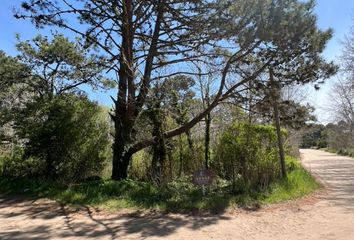 Terrenos en  Otro, Villa Gesell