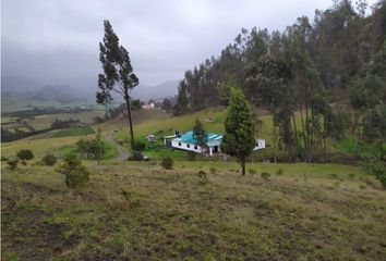 Villa-Quinta en  Carmen De Carupa, Cundinamarca