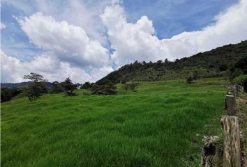 Lote de Terreno en  Rionegro Antioquía