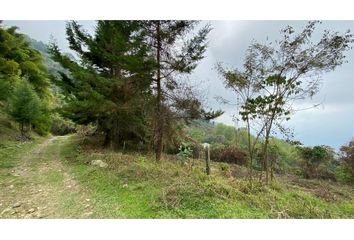 Lote de Terreno en  Copacabana, Antioquia