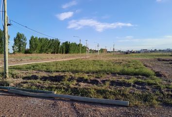 Terrenos en  Buena Nueva, Mendoza