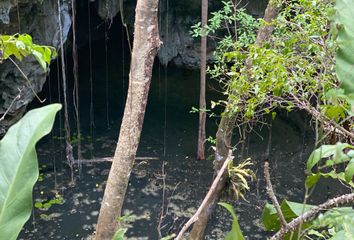 Lote de Terreno en  Sisal, Valladolid, Yucatán