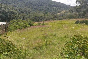 Lote de Terreno en  Campestre Residencial, Villa Del Carbón, México, Mex