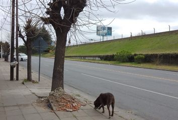 Casa en  Villa Sarmiento, Partido De Morón