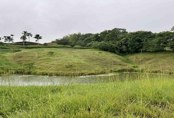 Lote de Terreno en  Cerritos, Pereira