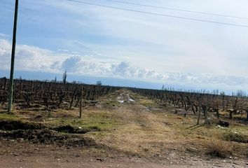 Terrenos en  San Carlos, Mendoza