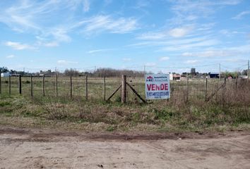 Terrenos en  Carmen De Areco, Partido De Carmen De Areco