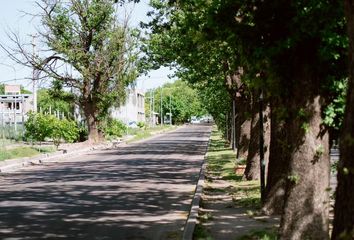 Terrenos en  San Rafael, Mendoza