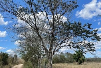 Lote de Terreno en  Calle 20, Opichén, Yucatán, 97813, Mex