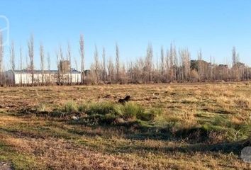 Terrenos en  General Roca, Río Negro