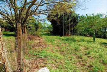 Terrenos en  Aristóbulo Del Valle, Misiones