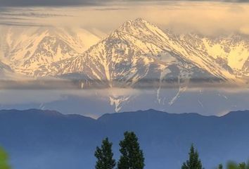 Terrenos en  Luján De Cuyo, Mendoza