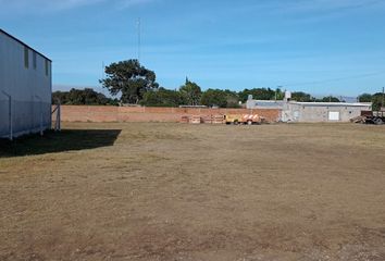 Terrenos en  Coronel Dorrego, Partido De Coronel Dorrego