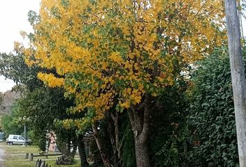 Terrenos en  Barrio La Florida, Mar Del Plata